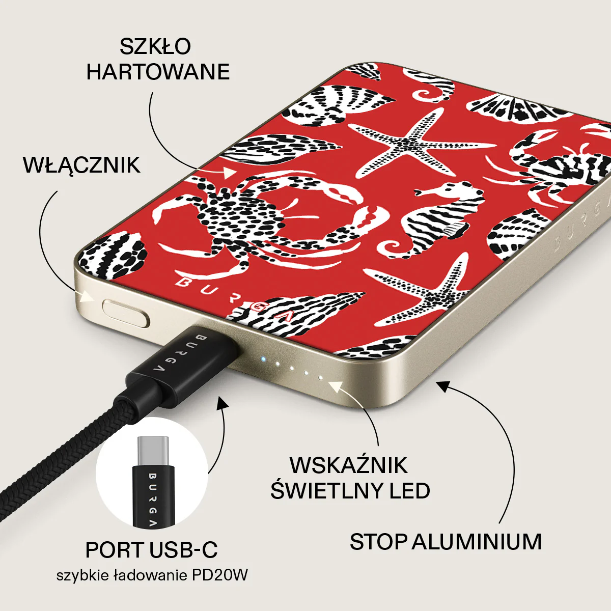 Zdjęcie produktu 10