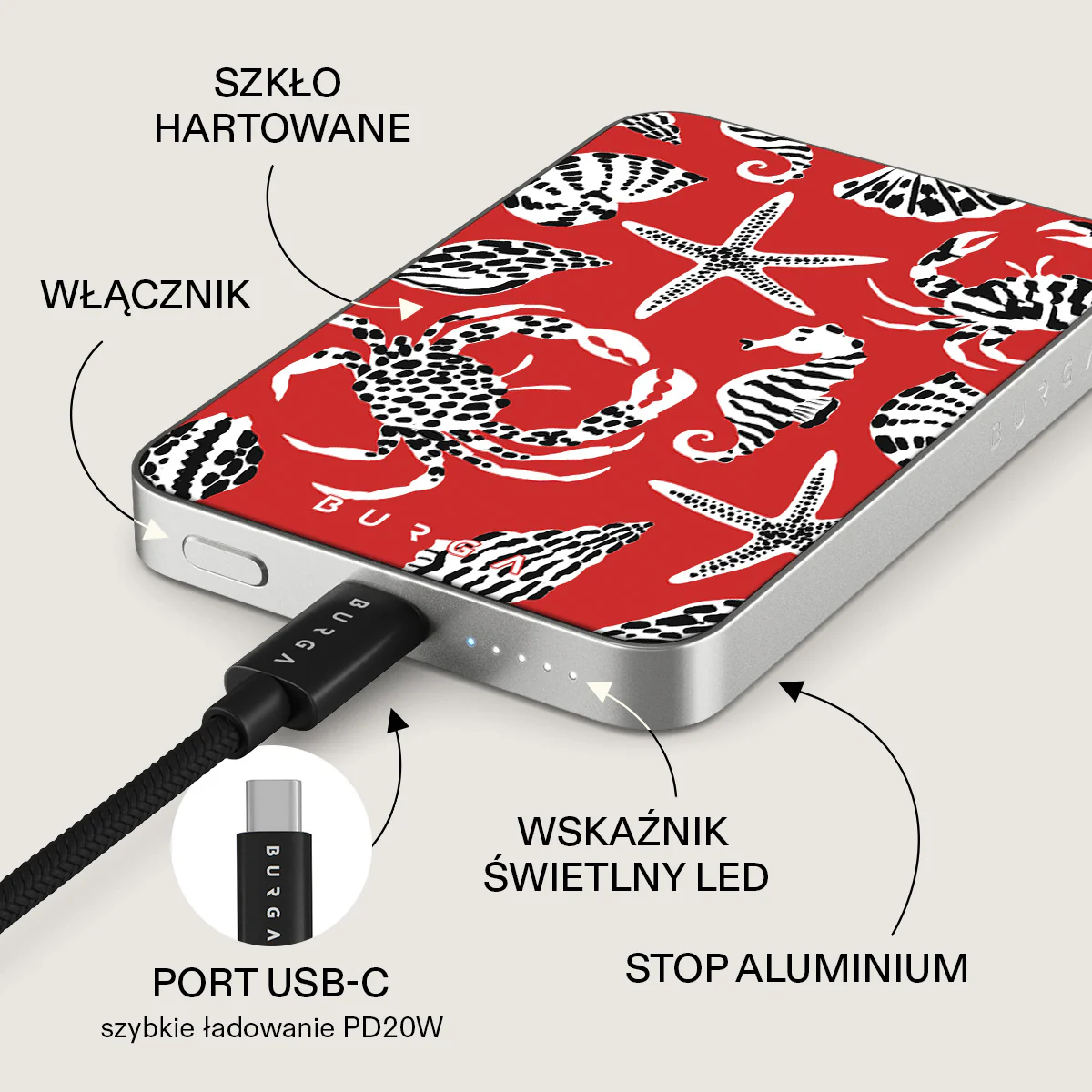 Zdjęcie produktu 15