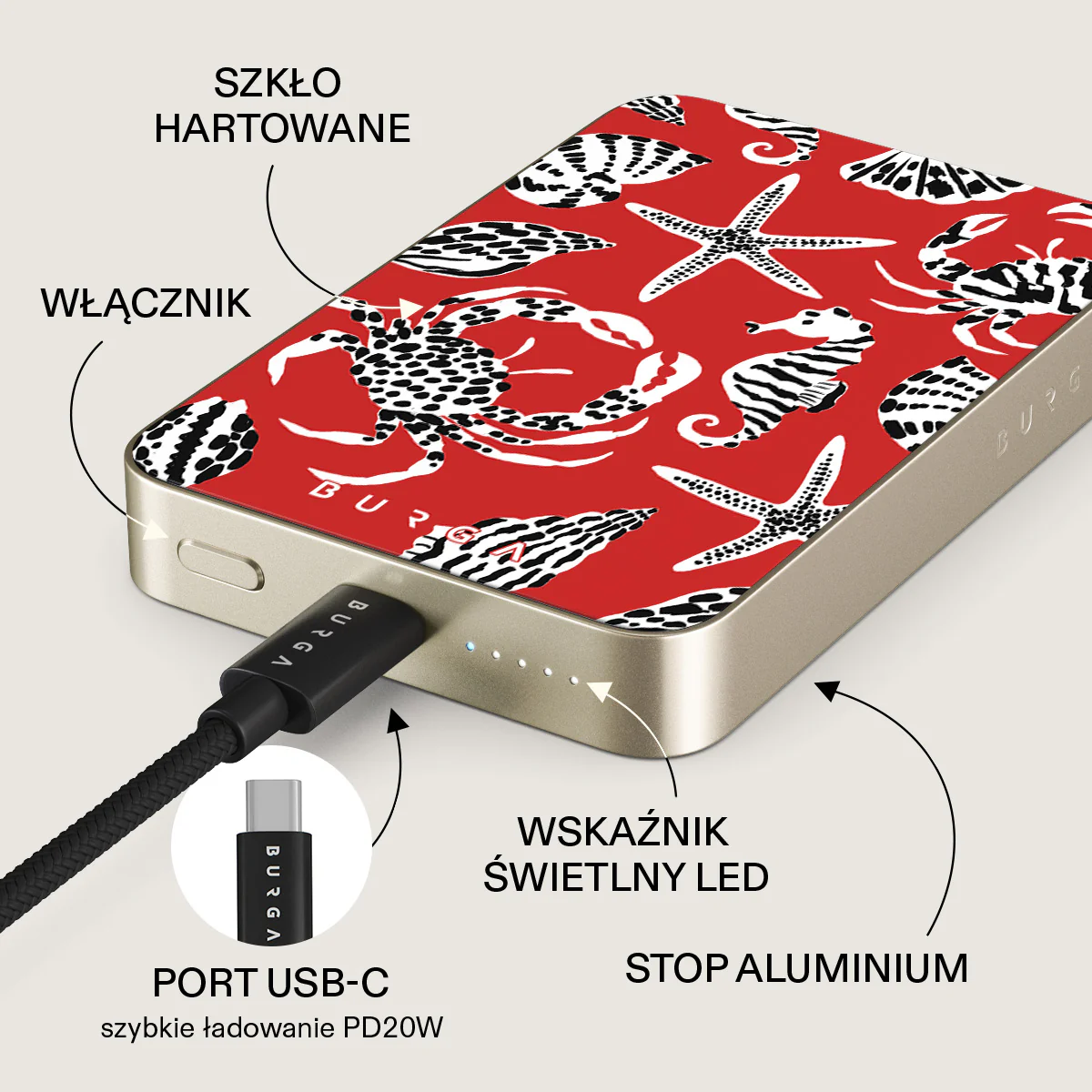 Zdjęcie produktu 25