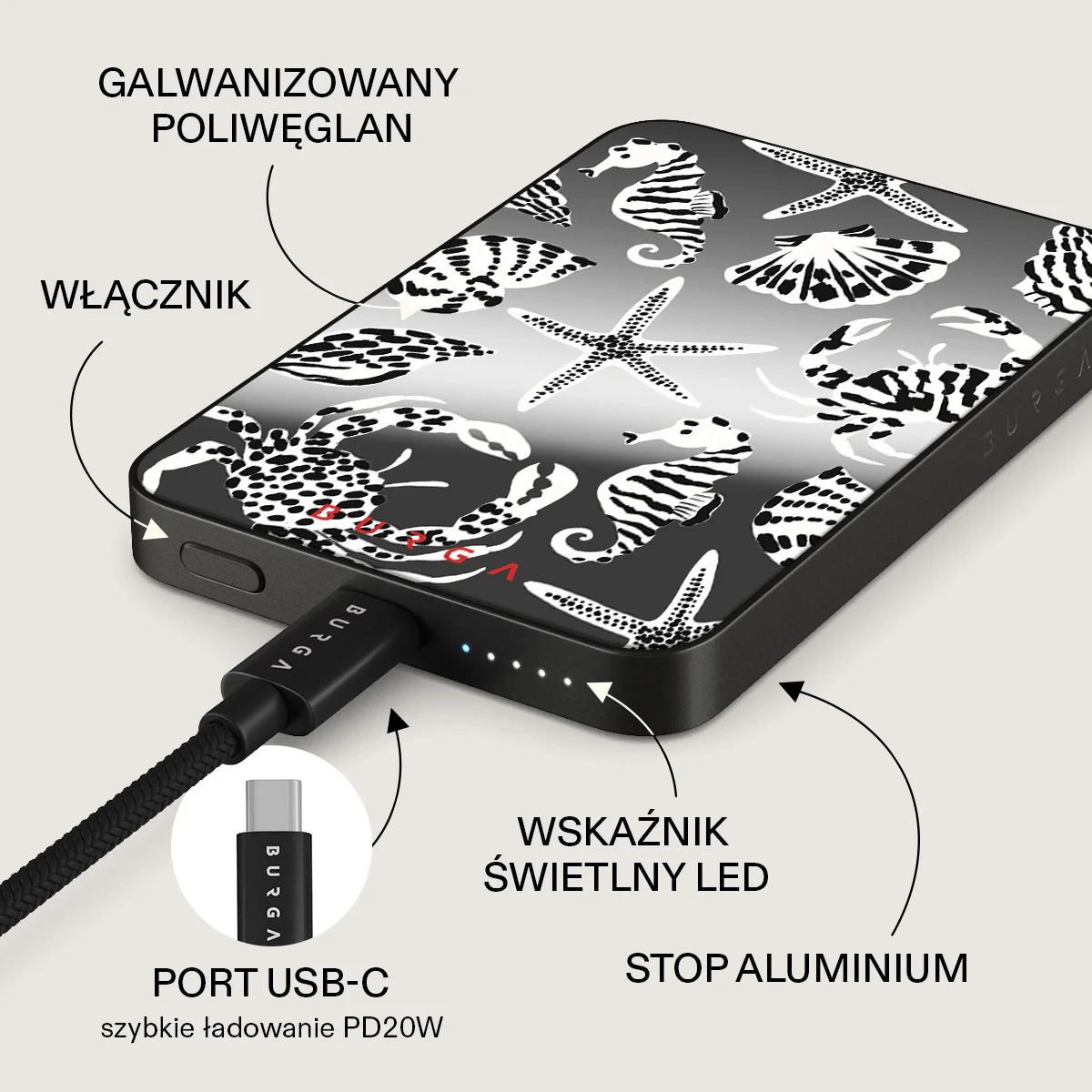 Zdjęcie produktu 50
